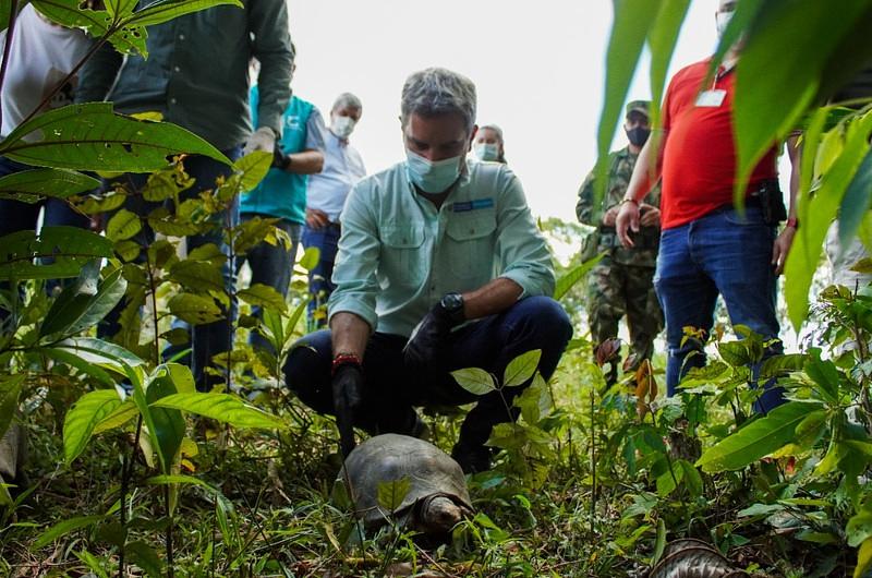 Miniambiente liberó especies silvestres en Meta