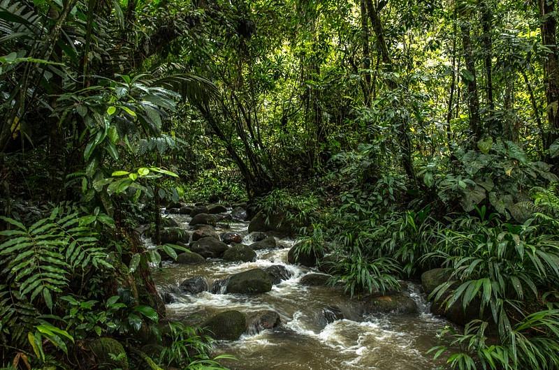 ¿Seguridad hídrica  para  Villavicencio y Acacías?