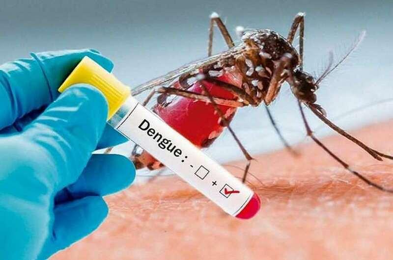 Dengue descendió en Villavicencio