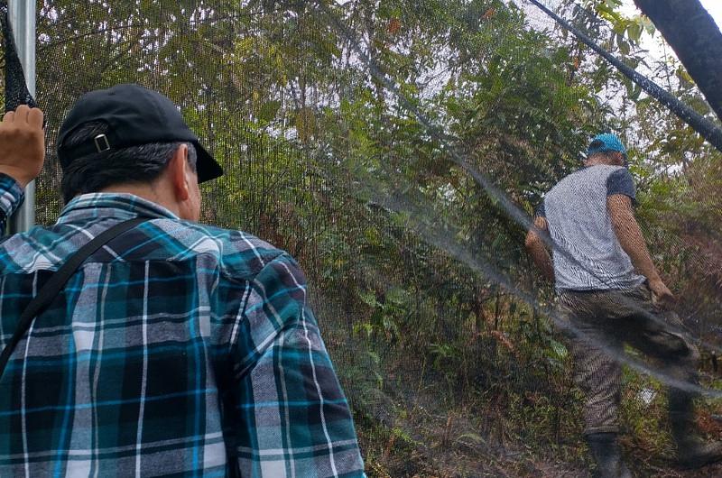 Así se produce agua en la microcuenca de Caño Blanco