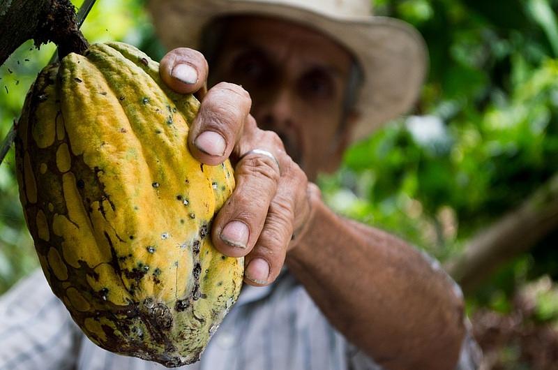 Bloqueos dejan 1,8 millones de empleos rurales en riesgo 