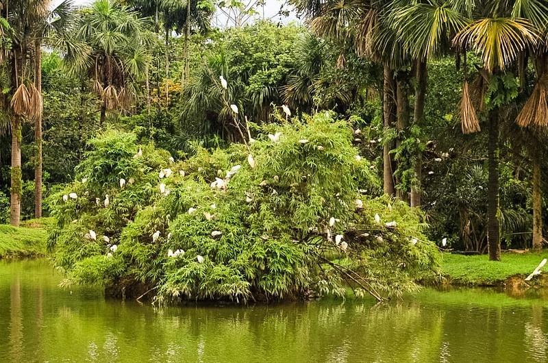 Humedales de Villavicencio pasan a manos públicas