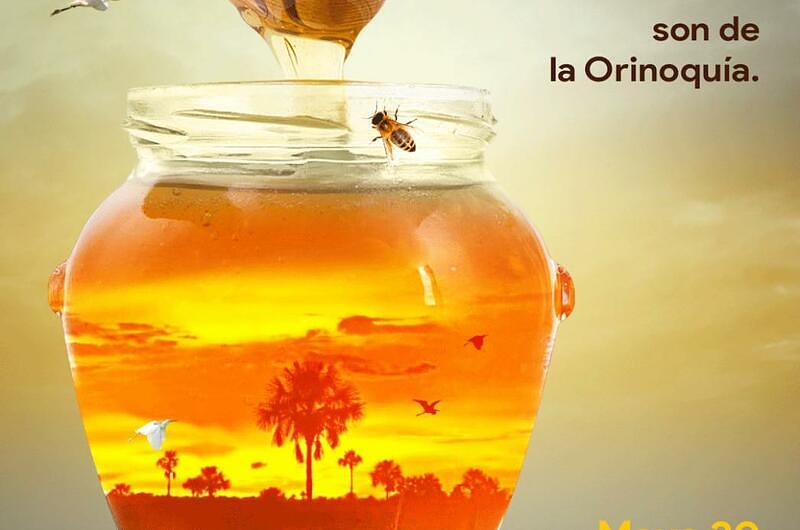 ¿En qué radica la importancia de las abejas?