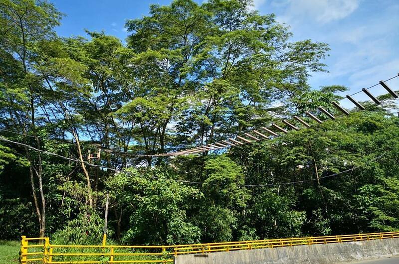 Meta busca proteger fauna silvestre