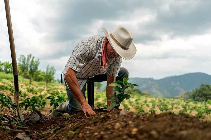 Productores agropecuarios podrán normalizar sus deudas