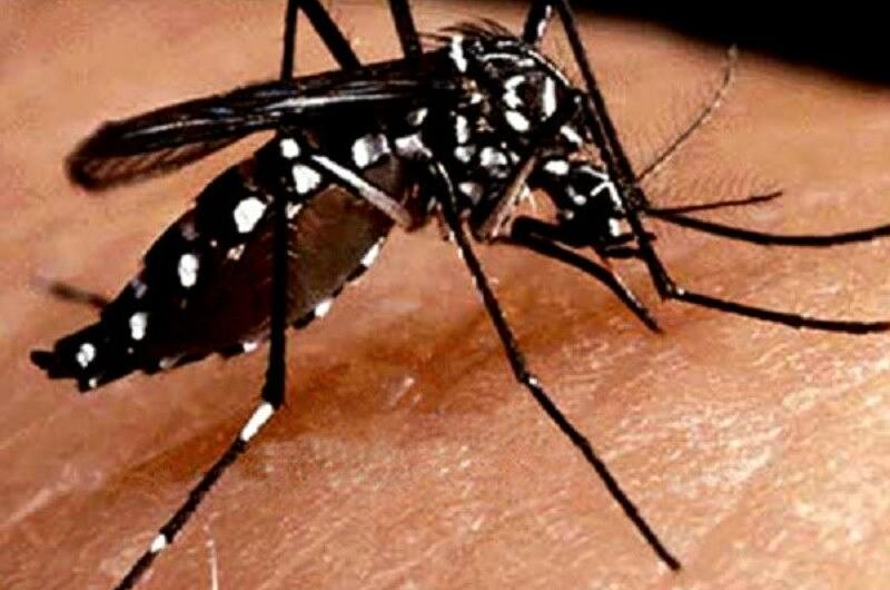 Disminuyen casos de Dengue en Villavicencio