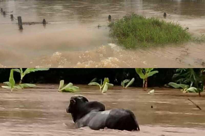 Meta, en alerta por ola invernal 