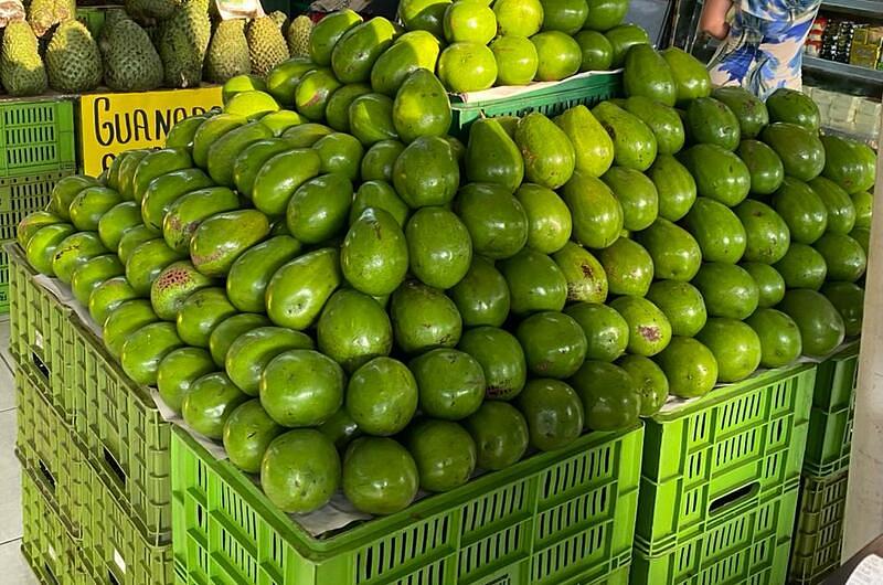 Colombia, primer proveedor de aguacate de Europa