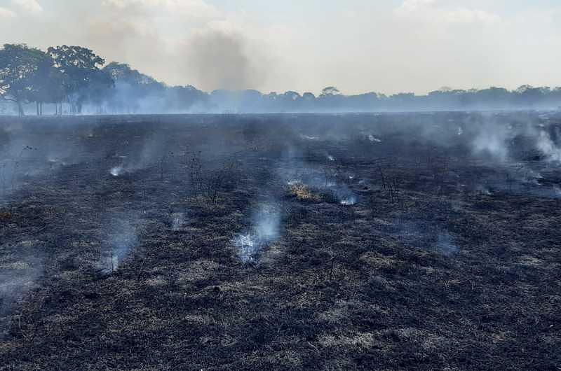 Cuántos incendios han ocurrido durante este 2020 en el Meta