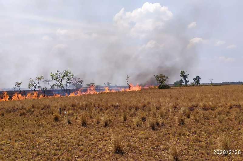 Incendio ha destruido por lo menos 160 hectáreas en el parque El Tuparro