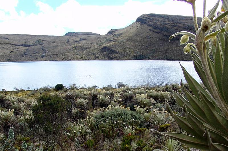 Firman pacto por la protección de Sumapaz