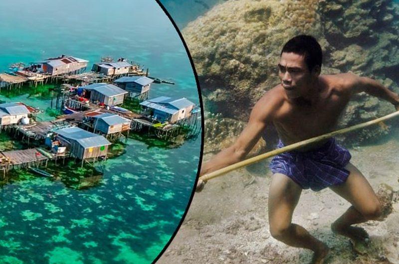 Una tribu que puede sumergirse 60 metros bajo el mar. Conozca a los bajau