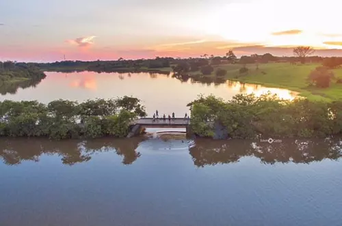 Gobierno impulsa estrategia contra la deforestación en el Meta