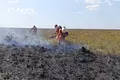 ¿Cuántas hectáreas se han quemado por incendios forestales en el Meta?
