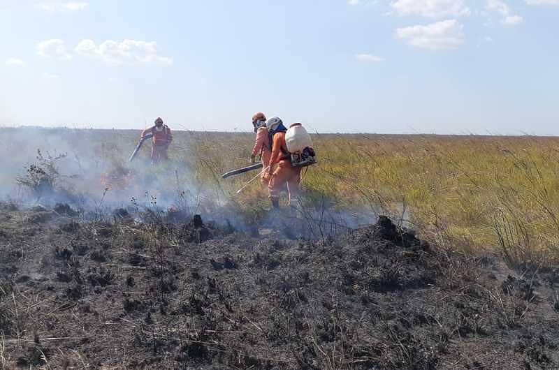 ¿Cuántas hectáreas se han quemado por incendios forestales en el Meta?