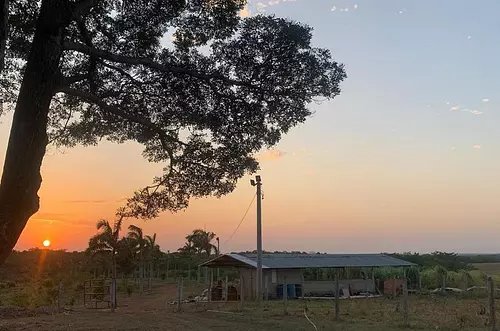 Cómo van a restaurar más de 31 mil hectáreas