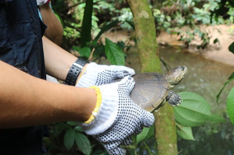 Se liberaron especies silvestres en el Parque Natural Yurimena Cofrem 