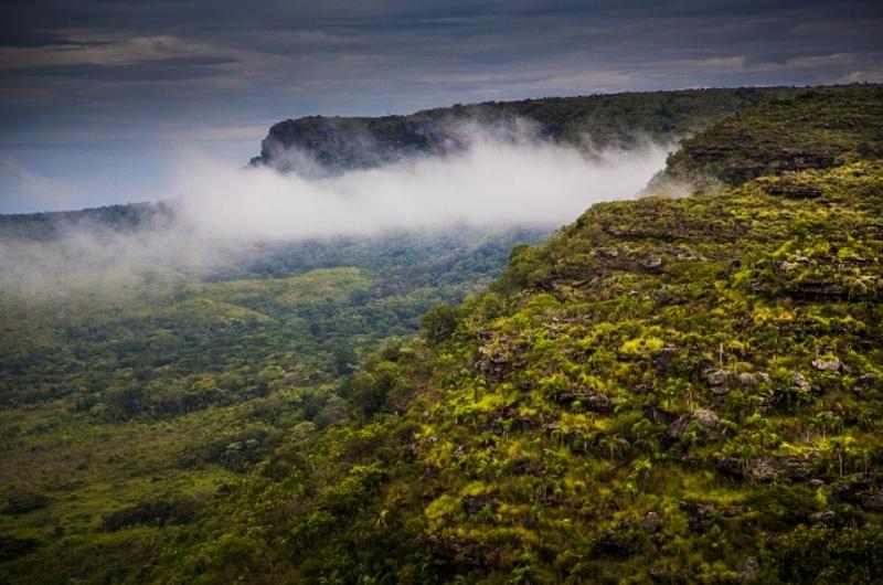 Sendero ecológico de la vía  Vistahermosa- La Macarena, no está habilitado