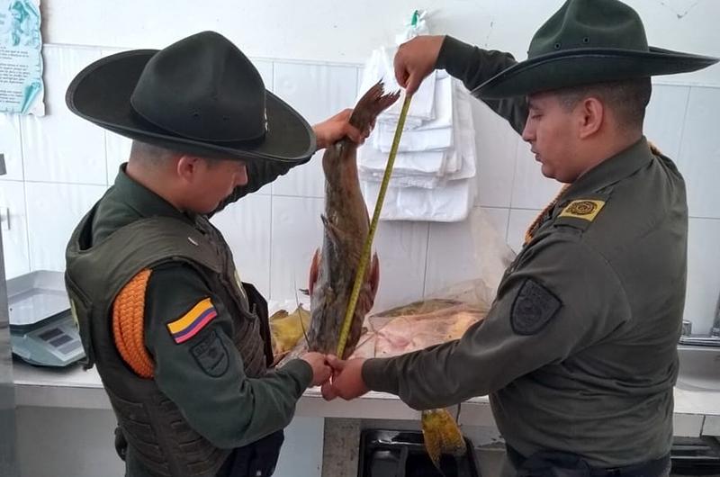 Policía incautó dos toneladas de carne y pescado por salubridad en Granada