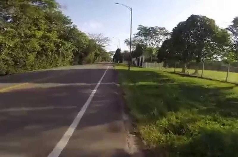 Peligro en la vía Villavicencio-Restrepo por árbol de tres metros