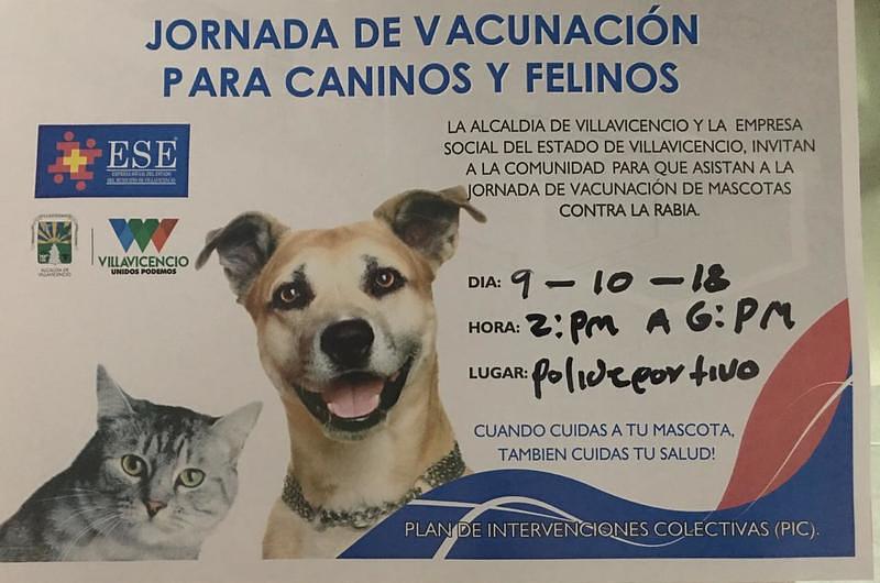 Jornada de vacunación para caninos y felinos contra la rabia 