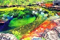 Caño Cristales a tope para el próximo festivo en octubre 