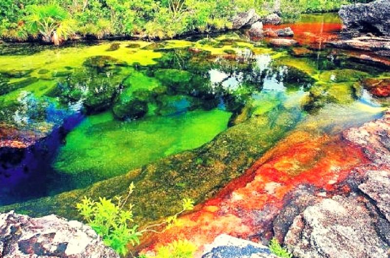 Caño Cristales a tope para el próximo festivo en octubre 