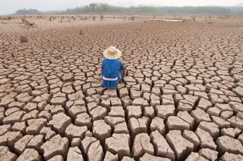  12 años tiene la humanidad para evitar el drástico cambio climático 