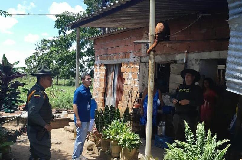 Recuperado mono aullador que se encontraba en cautiverio en San Martín