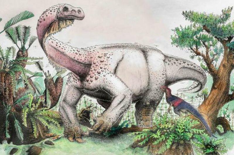 Descubren un nuevo dinosaurio que se paraba como un gato