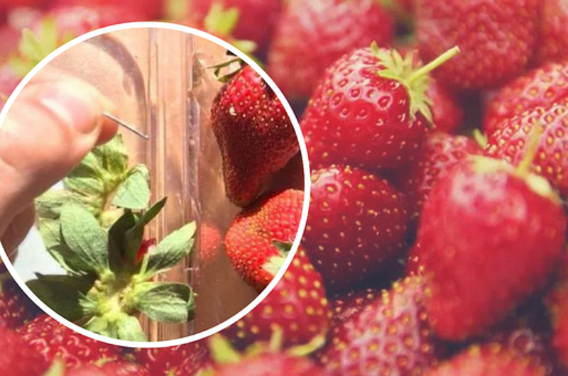 Agujas de coser dentro de las fresas causa pánico en Australia