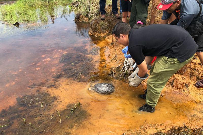 30 animales silvestres regresaron a su hábitat natural en Puerto López