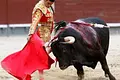 Vuelven las corridas de toros a todo el país por la Corte Constitucional