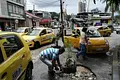 Taxistas que persistan en sembrar árboles en huecos serán sancionados