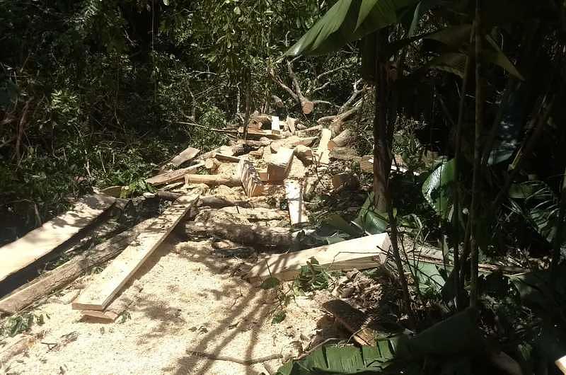 3 personas capturadas por aprovechamiento ilícito de los recursos naturales