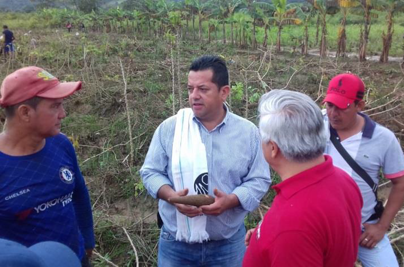 Productores de yuca podrán recibir apoyo para comercializar 