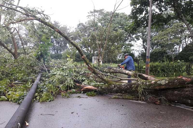 Desastres por fuerte vendaval en Villavicencio 