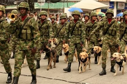 Villavicencio conmemora 208 años de independencia sin tradicional desfile