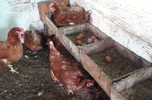 "Mujer Rural" un programa en expansión 