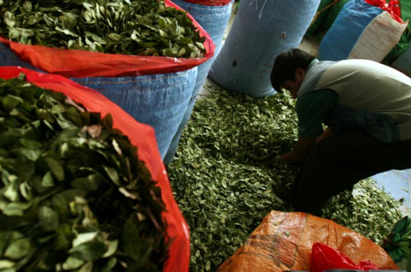 La producción de Cocaína en Colombia va en aumento