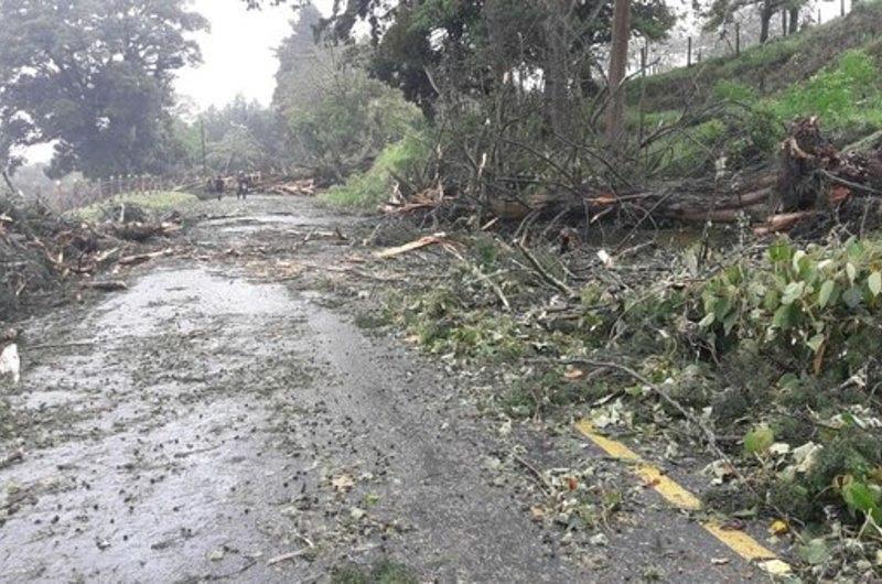 Acciones de prevención para temporada de lluvias