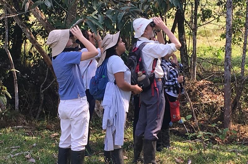 La Universidad Nacional de Colombia estudia especies en Chingaza