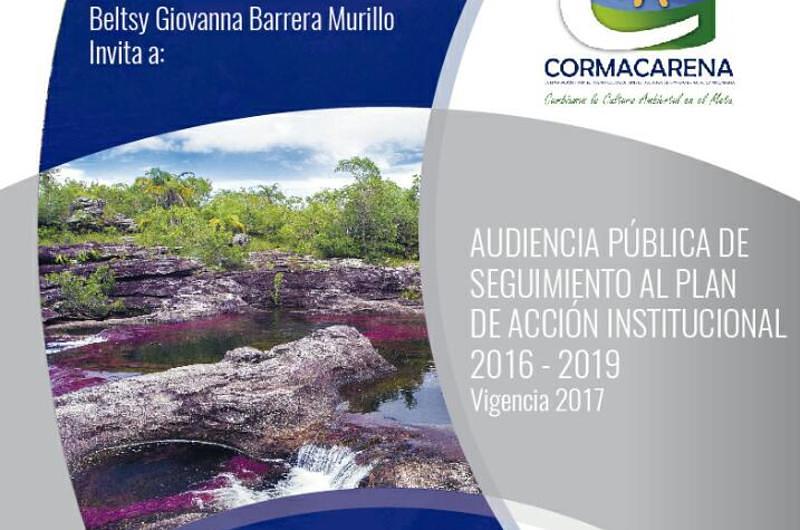 Se cierran las inscripciones para intervenir en la Audiencia de Cormacarena