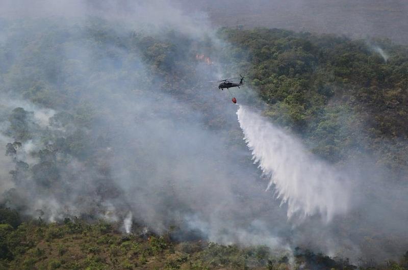 333 incendios forestales se han presentado en el Meta