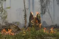 ¡Alerta por incremento de incendios forestales en el Meta!