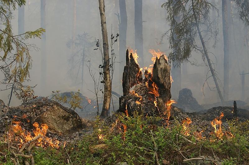 ¡Alerta por incremento de incendios forestales en el Meta!