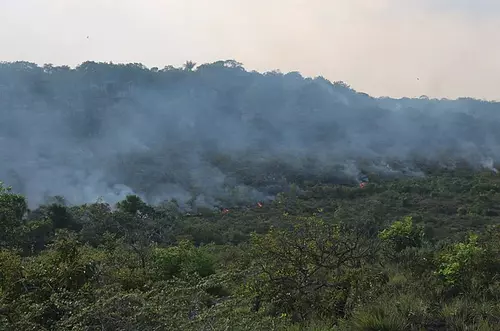Ministerio de Ambiente despliega acciones para mitigar incendio en Guaviare