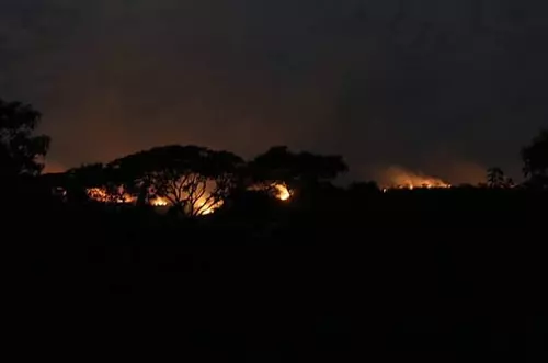 Autoridades atienden incendio forestal en La Macarena