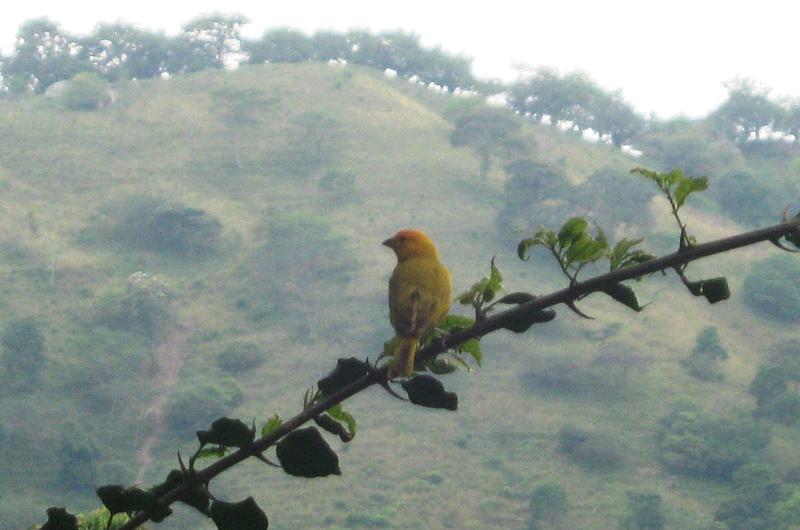 Bancos de Hábitat, una apuesta por la protección de nuestra biodiversidad