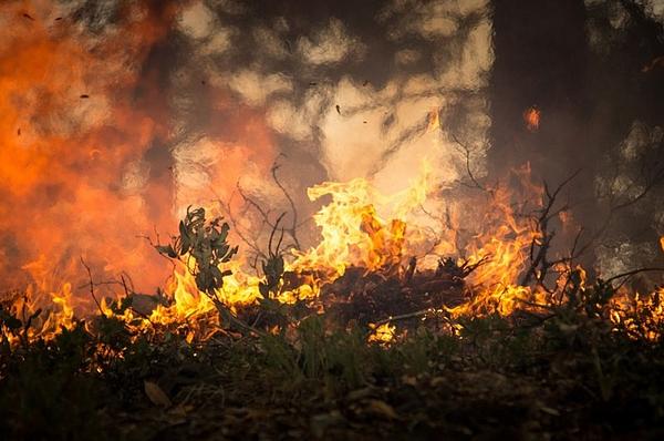 Recomendaciones De Minambiente Para Prevenir Incendios Forestales